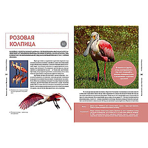 Red Data Book of the World. Animals