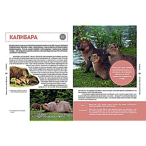 Red Data Book of the World. Animals