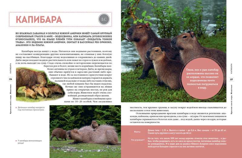 Red Data Book of the World. Animals