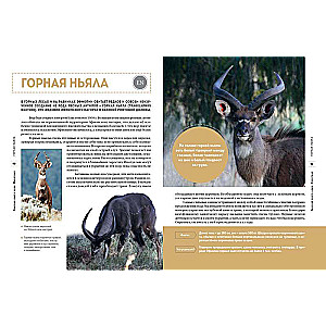 Red Data Book of the World. Animals