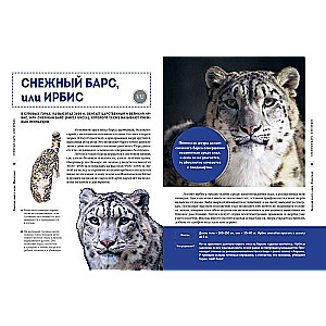 Red Data Book of the World. Animals