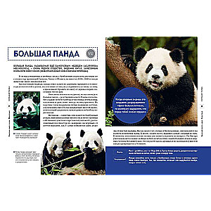Red Data Book of the World. Animals