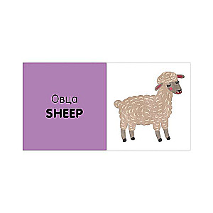 Exploring the World Together. English Language. Animals. 15 Block Books