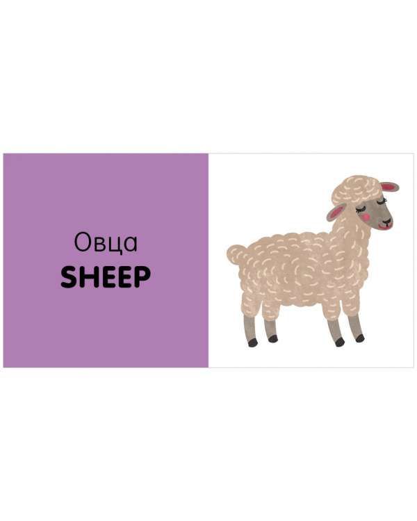 Exploring the World Together. English Language. Animals. 15 Block Books