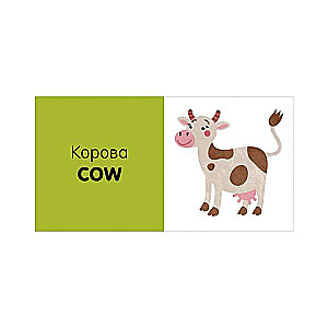 Exploring the World Together. English Language. Animals. 15 Block Books