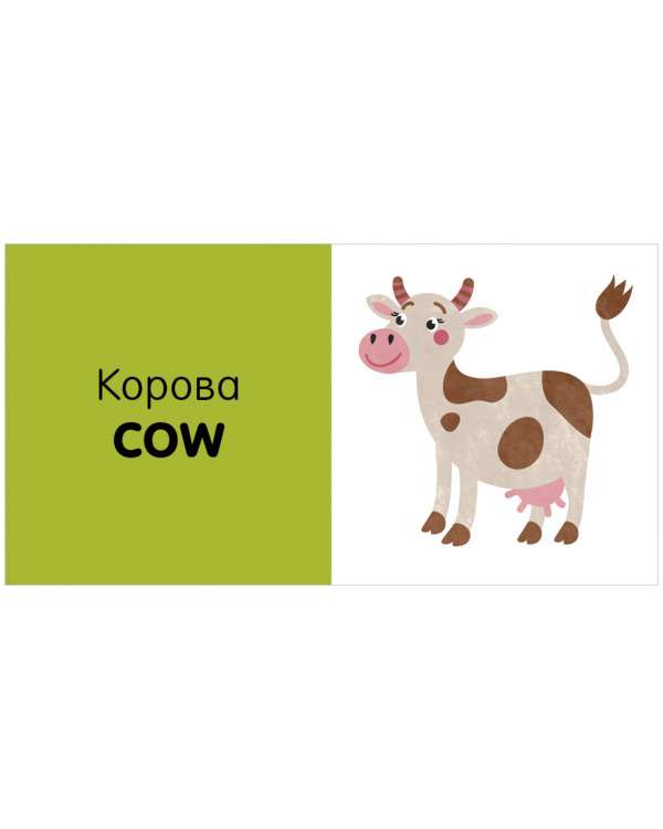 Exploring the World Together. English Language. Animals. 15 Block Books