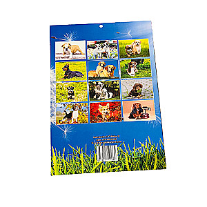 Sienas kalendārs 2024 A4 Suņi