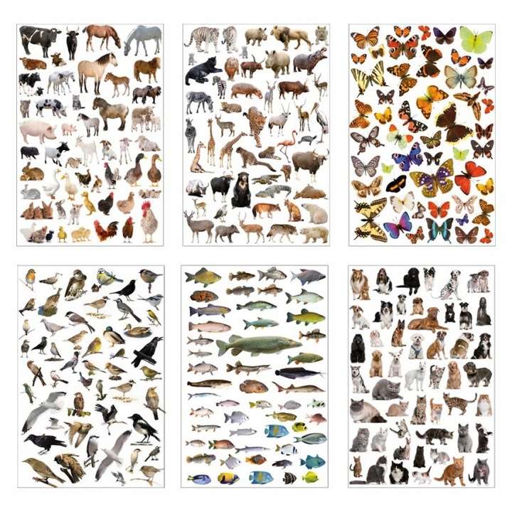 Stickers 300 pcs. Animals