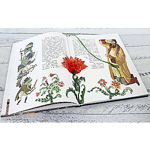 Presentation Book. The Scarlet Flower