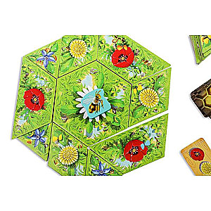 Board Game - Honeydew