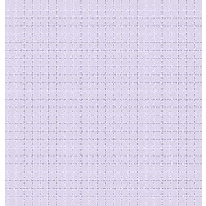 Dragon Notebook