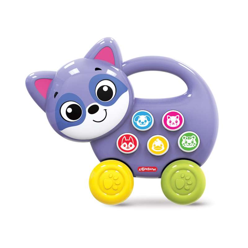 Musical Toy - Raccoon