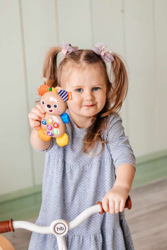 Musical Toy - Bear