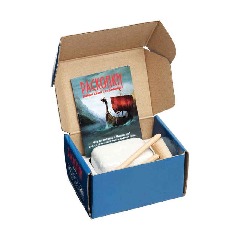 Excavation Kit with Coins - Vikings 11.5 x 8.5 x 6.5