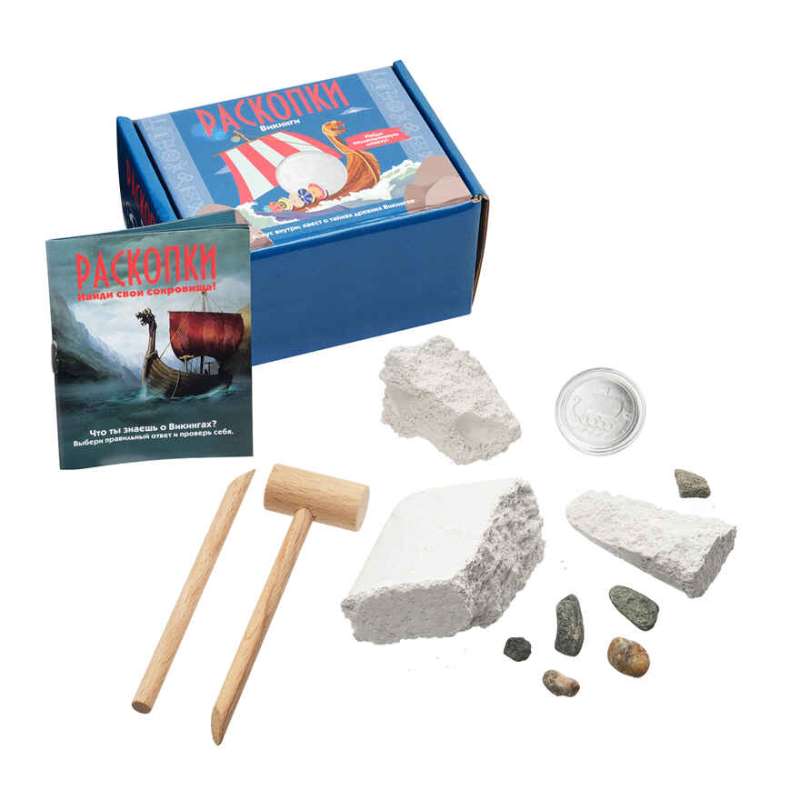 Excavation Kit with Coins - Vikings 11.5 x 8.5 x 6.5