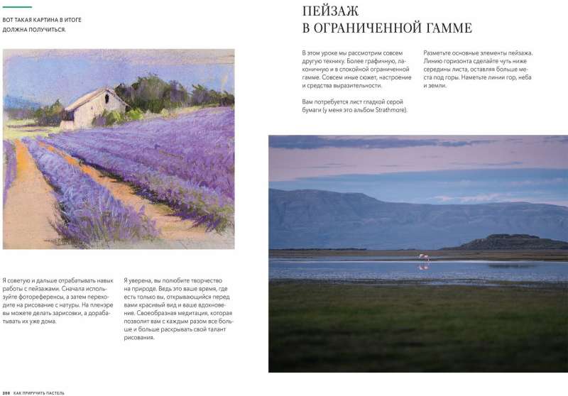 How to Tame Pastel: Complete Course by Elena Tatkina