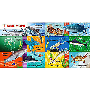 Your Favorite Books. Sea Creatures