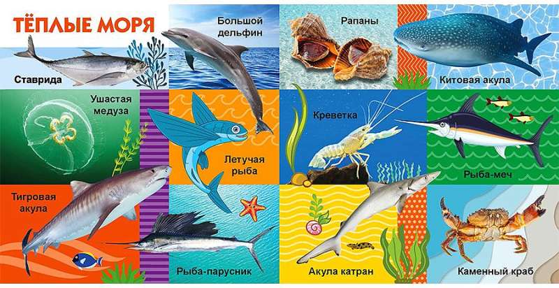 Your Favorite Books. Sea Creatures