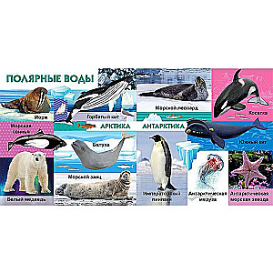 Your Favorite Books. Sea Creatures