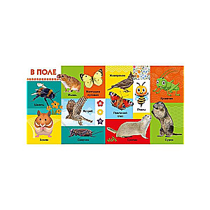 Your Favorite Books. Animals