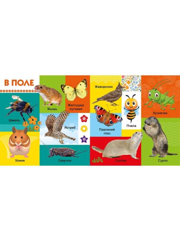 Your Favorite Books. Animals