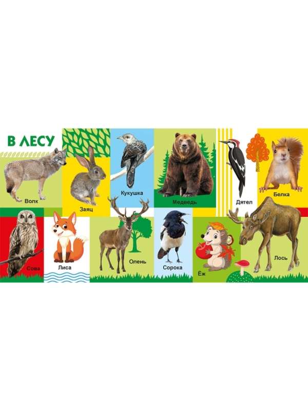 Your Favorite Books. Animals
