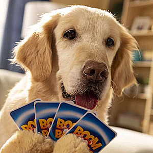 Board game - Boom Boom Cats & Dogs