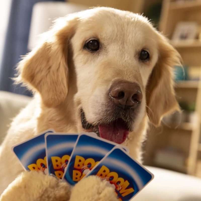 Board game - Boom Boom Cats & Dogs