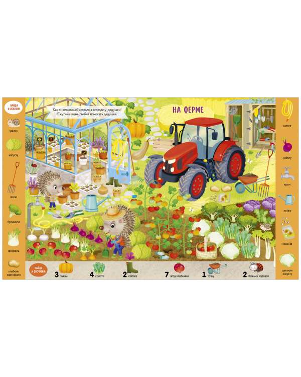 Find and Show. I Learn New Words. Find, Show, Count