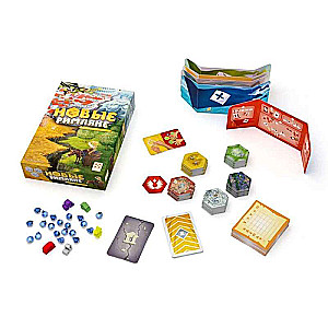 Board Game - New Romans