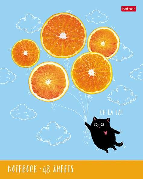 Notebook 48 sheets A5 format grid - Kitten-Orange