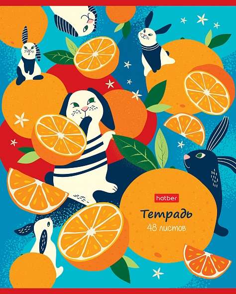 Notebook 48 sheets A5 format LINE - Orange Stories