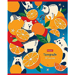 Notebook 48 sheets A5 format LINE - Orange Stories