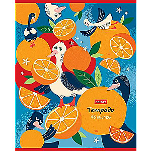 Notebook 48 sheets A5 format LINE - Orange Stories