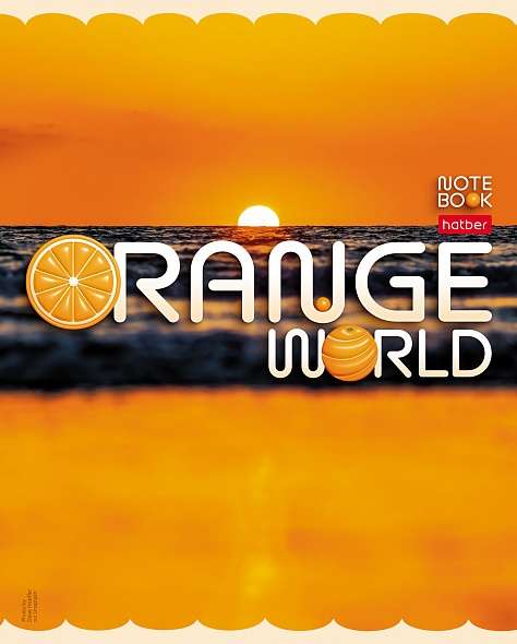 Notebook 96 sheets A5 grid - Orange World