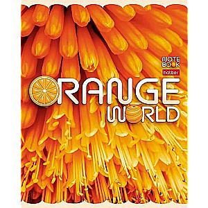 Notebook 96 sheets A5 grid - Orange World