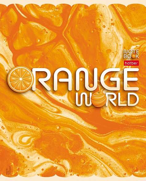 Notebook 96 sheets A5 grid - Orange World