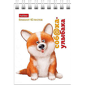 Notebook 40 sheets A7 format grid