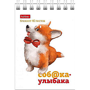 Notebook 40 sheets A7 format grid