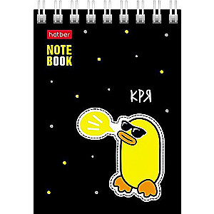 Notebook 60 sheets A7f grid - Duck Tales
