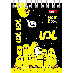 Notebook 60 sheets A7f grid - Duck Tales