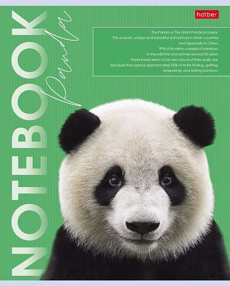 Notebook 80 sheets A5 grid - Wild and Free