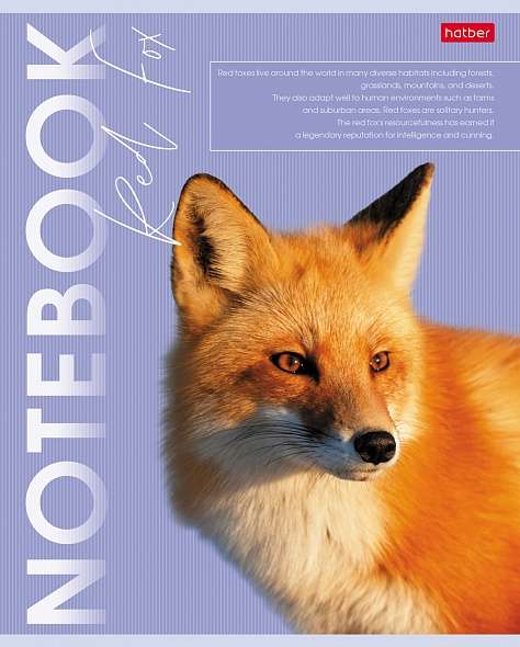 Notebook 80 sheets A5 grid - Wild and Free