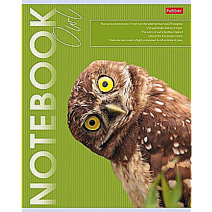 Notebook 80 sheets A5 grid - Wild and Free