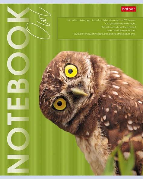 Notebook 80 sheets A5 grid - Wild and Free
