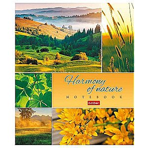 Notebook 80 sheets A5F grid - Harmony of Nature