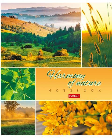 Notebook 80 sheets A5F grid - Harmony of Nature