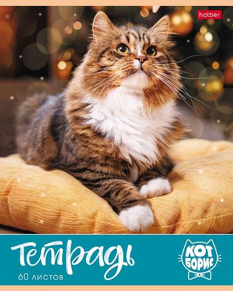 Notebook 60 sheets A5 size - Cat Boris