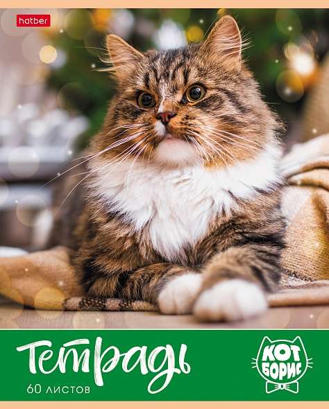Notebook 60 sheets A5 size - Cat Boris