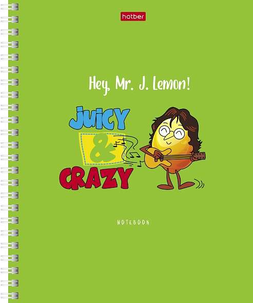 Notebook 48 sheets A5 grid - Mr.Lemon